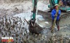 Cư dân mạng Trung Quốc kháo nhau cách làm móng nhà