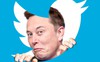 Lật kèo không mua Twitter: Elon Musk có thể mất cả tỷ USD theo thông lệ của nhiều thương vụ M&A