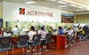 Agribank giảm giá khởi điểm hơn 30 tỷ đồng cho một lô đất 3.000 m2 tại TP HCM