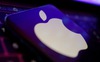 Bloomberg: Apple sẽ sản xuất iPhone 14 ở Ấn Độ