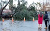 Ông Biden tuyên bố tình trạng khẩn cấp ở California do bão mùa đông