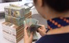 2023 sẽ là mùa cổ tức