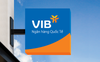 VIB: Hiệu quả kinh doanh top đầu, ĐHĐCĐ dự kiến duyệt kế hoạch cổ tức và tăng vốn