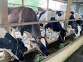 Nghèo nhất làng thành tỷ phú nhà lầu xe hơi, mỗi tháng đút túi 150 triệu