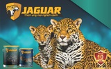 Sơn Jaguar bảo hành 100% - Tưởng không thật mà thật không tưởng