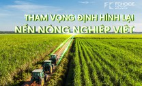 AgriS: Bước chuyển mình tỷ đô từ tư duy "Kinh tế Nông nghiệp" và tham vọng định hình lại nền nông nghiệp Việt