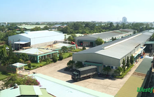 Inside Factory: Thăm nhà máy chế biến thực phẩm xuất khẩu Miền Tây của TSC