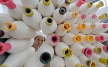 Mirae: Lãi quý 3 đạt gần 15 tỷ đồng, gấp 2,5 lần cùng kỳ 2014