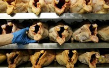 Tự do hóa thương mại trong nông nghiệp: Khi "luật chơi" rõ ràng