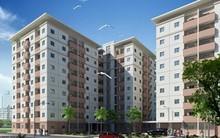 Tập đoàn Tiến Bộ sắp trả cổ tức tỷ lệ 22% bằng tiền và cổ phiếu