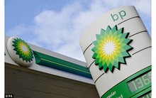 Những bài học đắt giá từ khủng hoảng của các “ông lớn”