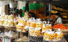 Hồng Đà Lạt khan hiếm, giá tăng hàng chục lần