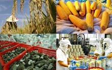 Ngân sách 2016 - 2020 sẽ đổ vào các ngành nào?