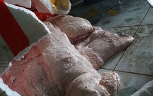 Ớn lạnh vú heo Trung Quốc