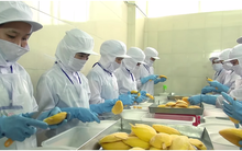 TSC tăng vốn thành công lên gần 1.500 tỷ đồng