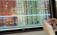 IDV: Chi trả cổ tức bằng cổ phiếu 50%