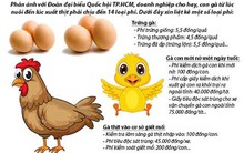 Hàng loạt phí, lệ phí sẽ được bãi bỏ