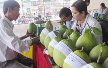 Đề nghị xóa chục ngàn tỉ đồng thuế