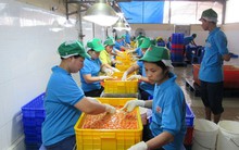 Gỡ bí xuất khẩu thịt, trứng