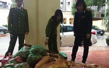 Hà Nội: Thu giữ 1 tấn lợn thối được “phù phép” thành thịt tươi