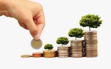 “Đừng vẽ TPP như một cái bánh rất to!”