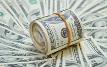 VFG chốt quyền tạm ứng cổ tức bằng tiền tỷ lệ 10%