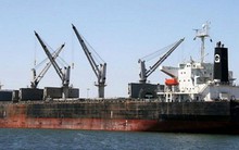 Thanh tra việc thu nhiều phụ phí của hãng tàu nước ngoài tại Việt Nam