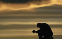 Bão tin đồn, TPP, tỷ giá…"đánh bay" gần 70 điểm của VNIndex