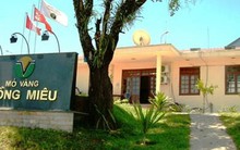 Doanh nghiệp nợ thuế xin xuất khẩu vàng: Cấp phép phải đúng luật!