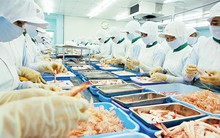 Tỷ giá biến động, xuất khẩu thủy sản gặp khó