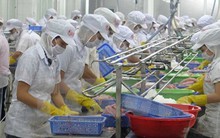 Trên 1,37 tỷ USD và gần 4.000 tỷ đồng "đổ" vào Tiền Giang