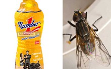 Một “con ruồi” đã khiến Tân Hiệp Phát mất hơn 2.000 tỷ đồng