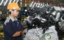 Vào chuỗi toàn cầu: 20 năm 2 Doanh nghiệp Việt đạt chuẩn