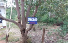 Sốt đất Phú Quốc: Sau một đêm, giá đã tăng gần 50%