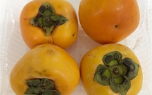 Hồng Đà Lạt 2.000/kg ế thối, ăn sang hồng Nhật 400 ngàn/kg