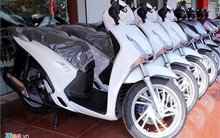 SH giảm giá 20%: Dân chơi vỡ mộng tin vui?