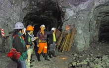 Điều tra Công ty Bồng Miêu bán khống vàng