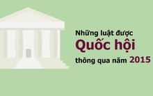 10 luật sẽ có hiệu lực từ ngày 01/01/2016