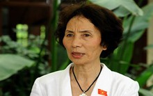 Đừng vào Quốc hội để lấy “mác” đại biểu