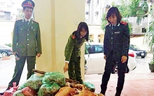 Thực phẩm bẩn cuối năm: Tinh vi, khó phát hiện