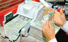 Trái phiếu doanh nghiệp “được mùa”