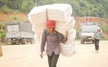 Thực trạng lợi dụng cư dân biên giới vận chuyển hàng lậu