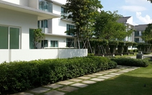 Bỗng dưng được miễn quỹ đất