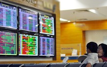 PPI lên kế hoạch phát hành thêm 20 triệu cổ phiếu giá từ 10.000 đồng