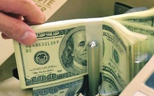 Quỹ Halley Asian Prosperity gia tăng tỷ lệ sở hữu tại BTP, DXP, SJD