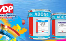 Sơn Á Đông lên phương án trả cổ tức bằng tiền 10% và cổ phiếu thưởng 2:1