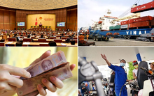 Những sự kiện trong nước nổi bật tuần từ 19/10 - 24/10