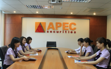 APS: Lãi quý 4 giảm, EPS cả năm đạt 519 đồng