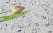 Phenikaa đề cử ứng viên vào BKS Vicostone