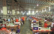 Lợi nhuận Quý 2/2015 Bao Bì Nhựa Tân Tiến gấp 6 lần cùng kỳ nhờ chi phí đầu vào giảm